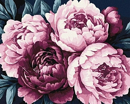 Картина по номерам Ніжні півонії (40х50 см)