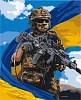 Картина по номерам Воїн ЗСУ з прапором (40х50 см)