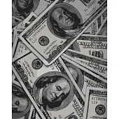 Мініатюра товару Картина по номерам Money (40х50 см) - 1