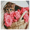 Алмазна мозаїка Котик у кошику (50х50 см)