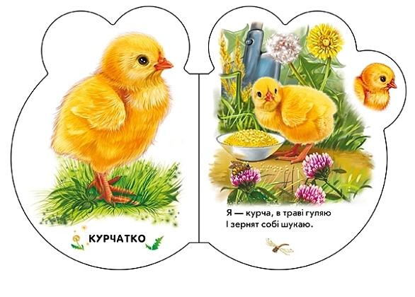 На подвірʼї, бренду Ранок - 3 - KUBIX