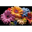 Миниатюра товара Картина по номерам Фееричные герберы (50х25 см) - 1